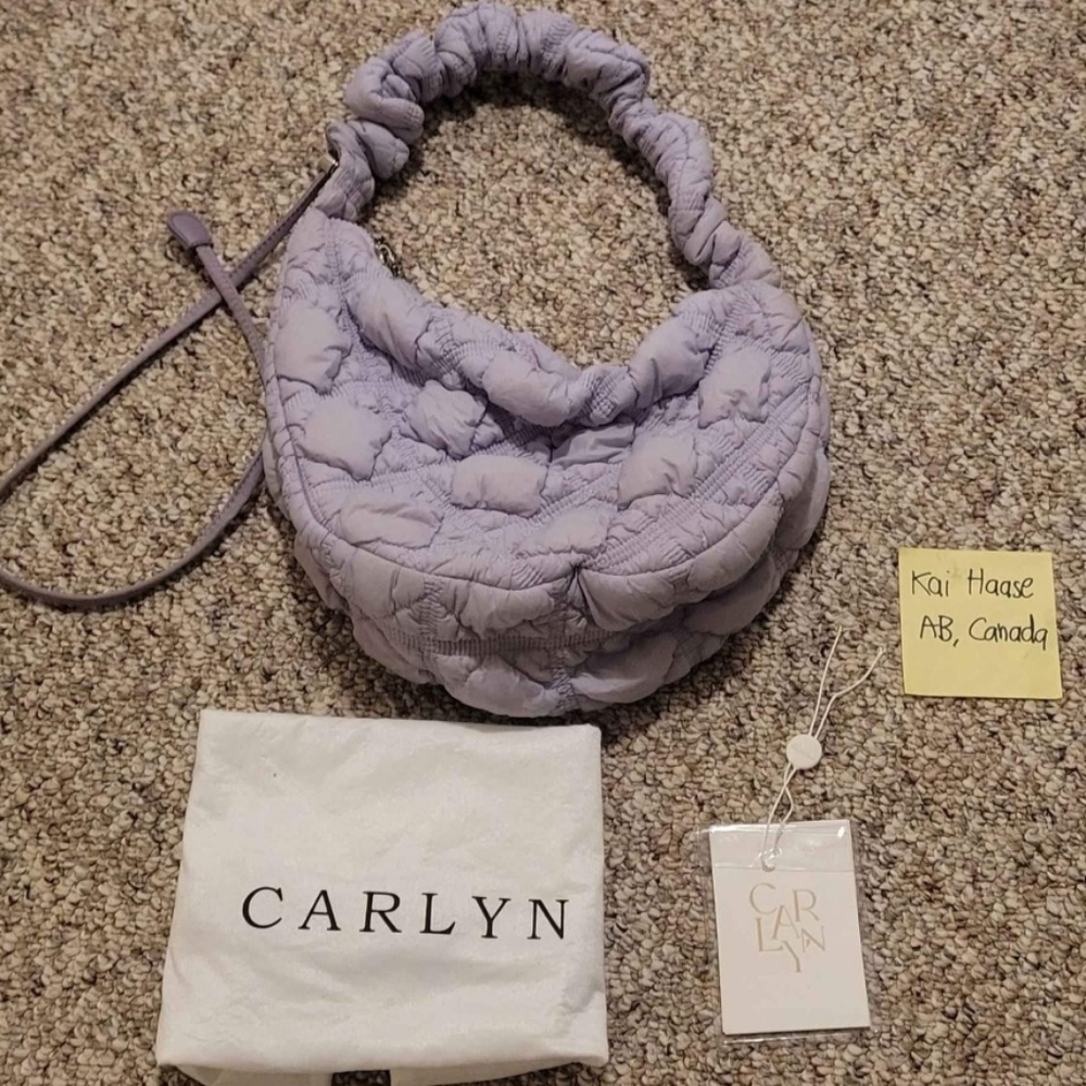 Carlyn purse